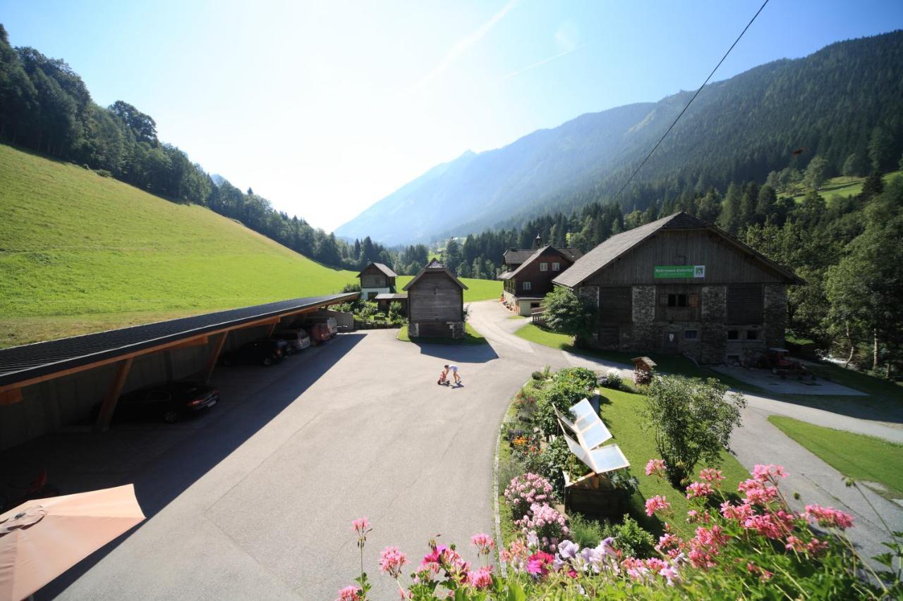 Ahlhof Vila Schladming Exterior foto