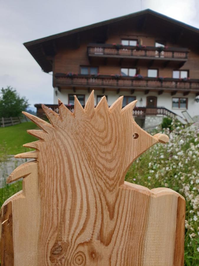 Ahlhof Vila Schladming Exterior foto